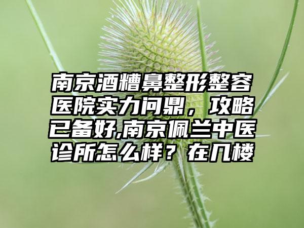 南京酒糟鼻整形整容医院实力问鼎，攻略已备好,南京佩兰中医诊所怎么样？在几楼