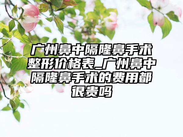 广州鼻中隔隆鼻手术整形价格表_广州鼻中隔隆鼻手术的费用都很贵吗