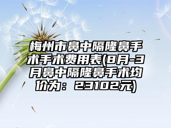 梅州市鼻中隔隆鼻手术手术费用表(8月-3月鼻中隔隆鼻手术均价为：23102元)