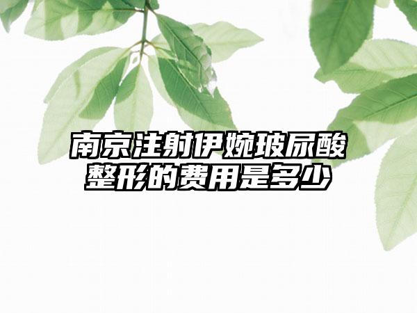 南京注射伊婉玻尿酸整形的费用是多少