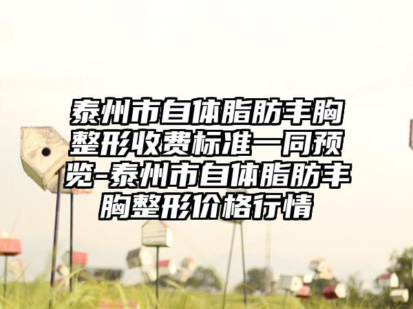 泰州市自体脂肪丰胸整形收费标准一同预览-泰州市自体脂肪丰胸整形价格行情