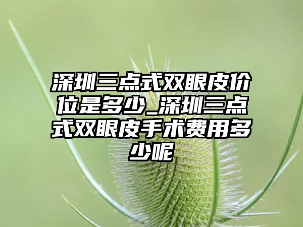 深圳三点式双眼皮价位是多少_深圳三点式双眼皮手术费用多少呢