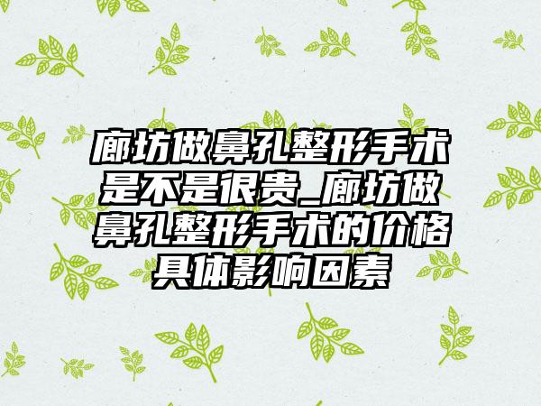 廊坊做鼻孔整形手术是不是很贵_廊坊做鼻孔整形手术的价格具体影响因素