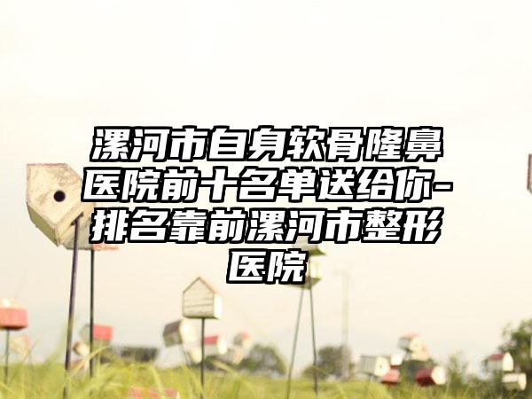 漯河市自身软骨隆鼻医院前十名单送给你-排名靠前漯河市整形医院