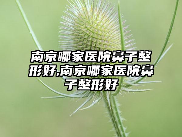 南京哪家医院鼻子整形好,南京哪家医院鼻子整形好