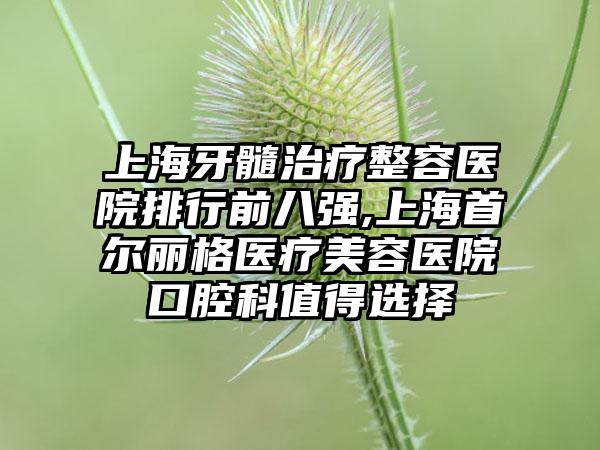 上海牙髓治疗整容医院排行前八强,上海首尔丽格医疗美容医院口腔科值得选择