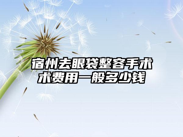 宿州去眼袋整容手术术费用一般多少钱