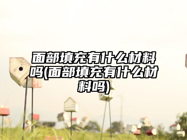 面部填充有什么材料吗(面部填充有什么材料吗)