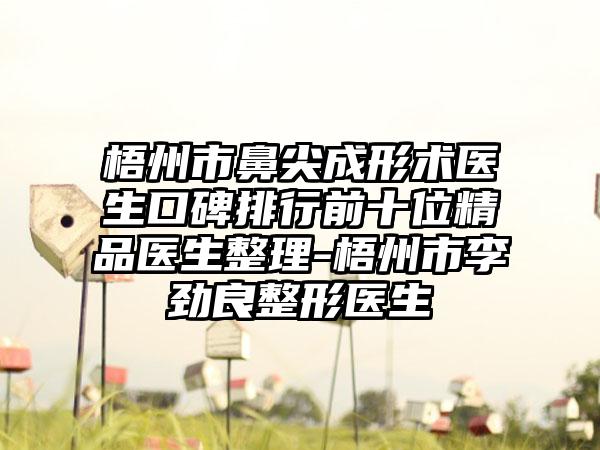 梧州市鼻尖成形术医生口碑排行前十位精品医生整理-梧州市李劲良整形医生