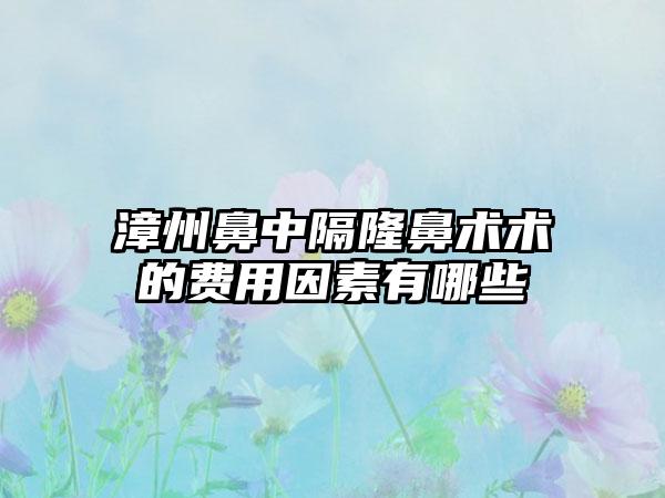 漳州鼻中隔隆鼻术术的费用因素有哪些