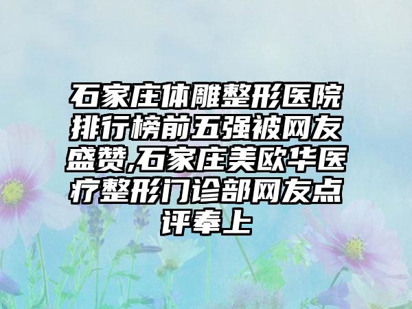 石家庄体雕整形医院排行榜前五强被网友盛赞,石家庄美欧华医疗整形门诊部网友点评奉上