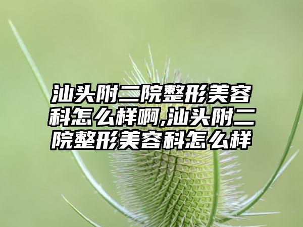 汕头附二院整形美容科怎么样啊,汕头附二院整形美容科怎么样