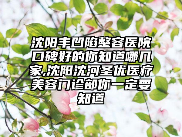 沈阳丰凹陷整容医院口碑好的你知道哪几家,沈阳沈河圣优医疗美容门诊部你一定要知道