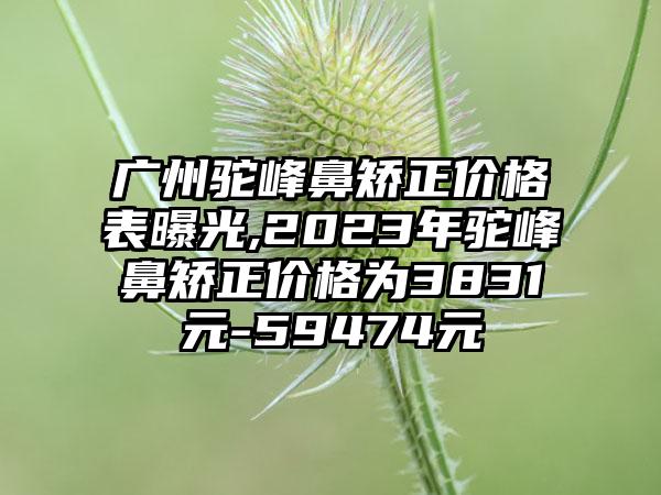 广州驼峰鼻矫正价格表曝光,2023年驼峰鼻矫正价格为3831元-59474元