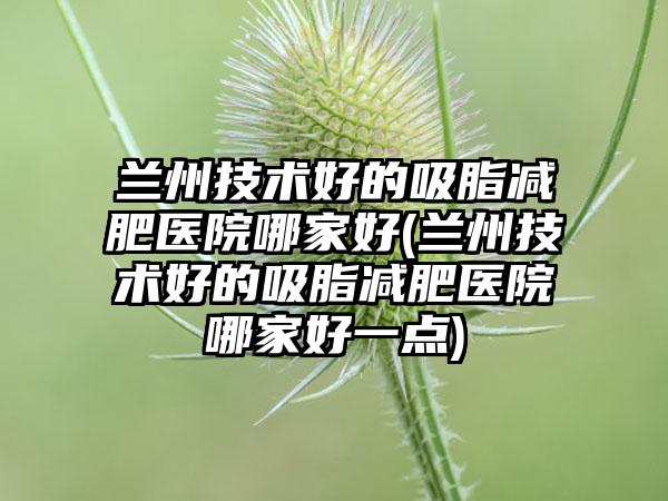 兰州技术好的吸脂减肥医院哪家好(兰州技术好的吸脂减肥医院哪家好一点)