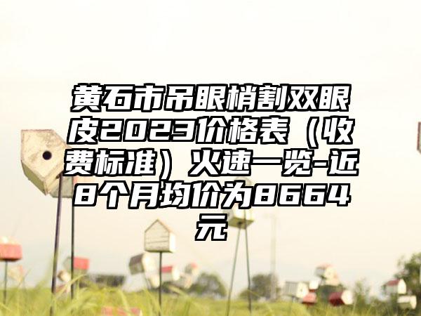 黄石市吊眼梢割双眼皮2023价格表（收费标准）火速一览-近8个月均价为8664元