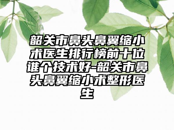 韶关市鼻头鼻翼缩小术医生排行榜前十位谁个技术好-韶关市鼻头鼻翼缩小术整形医生