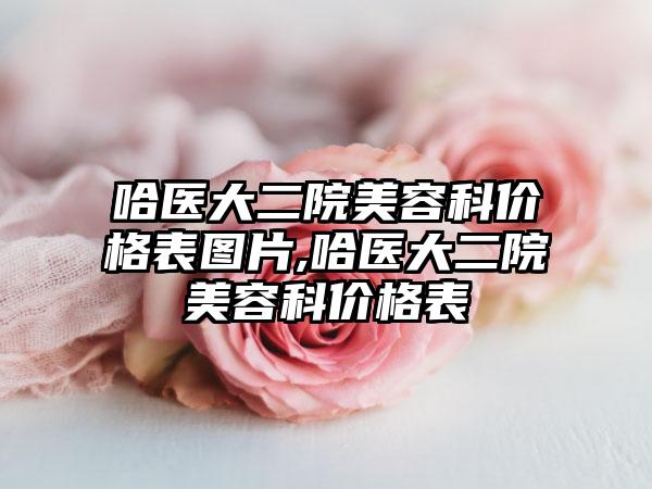 哈医大二院美容科价格表图片,哈医大二院美容科价格表