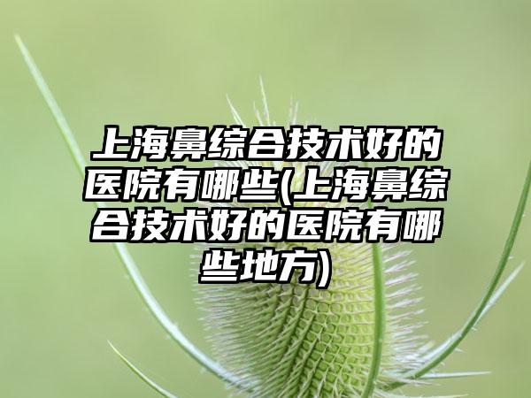 上海鼻综合技术好的医院有哪些(上海鼻综合技术好的医院有哪些地方)