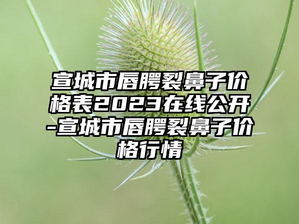 宣城市唇腭裂鼻子价格表2023在线公开-宣城市唇腭裂鼻子价格行情