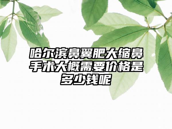 哈尔滨鼻翼肥大缩鼻手术大概需要价格是多少钱呢