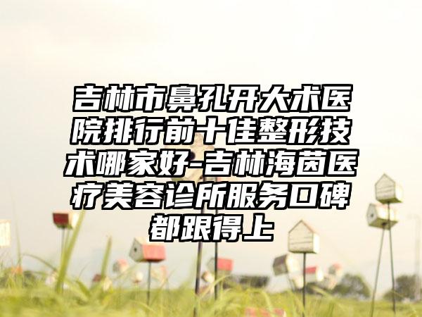 吉林市鼻孔开大术医院排行前十佳整形技术哪家好-吉林海茵医疗美容诊所服务口碑都跟得上