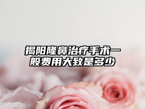 揭阳隆鼻治疗手术一般费用大致是多少