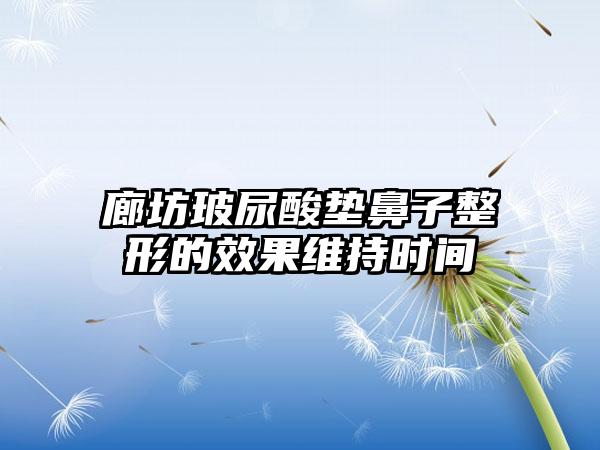 廊坊玻尿酸垫鼻子整形的成果维持时间