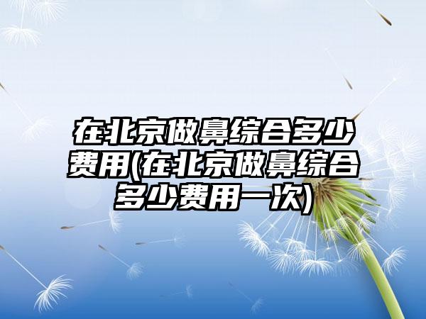 在北京做鼻综合多少费用(在北京做鼻综合多少费用一次)