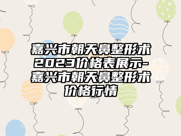 嘉兴市朝天鼻整形术2023价格表展示-嘉兴市朝天鼻整形术价格行情