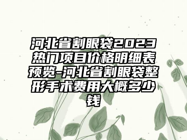 河北省割眼袋2023热门项目价格明细表预览-河北省割眼袋整形手术费用大概多少钱