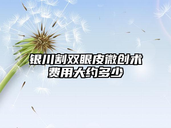 银川割双眼皮微创术费用大约多少