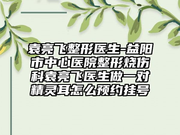 袁亮飞整形医生-益阳市中心医院整形烧伤科袁亮飞医生做一对精灵耳怎么预约挂号