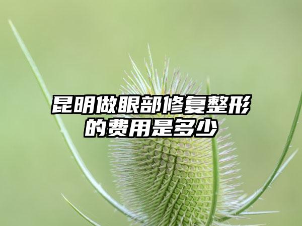 昆明做眼部修复整形的费用是多少