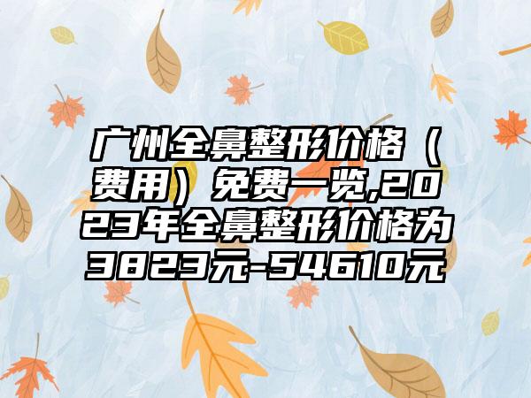 广州全鼻整形价格（费用）免费一览,2023年全鼻整形价格为3823元-54610元