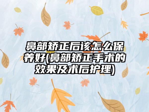 鼻部矫正后该怎么保养好(鼻部矫正手术的成果及术后护理)