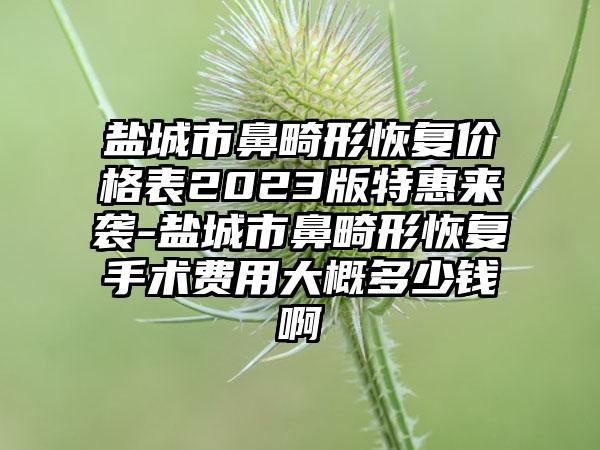 盐城市鼻畸形修复价格表2023版特惠来袭-盐城市鼻畸形修复手术费用大概多少钱啊