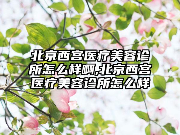 北京西宫医疗美容诊所怎么样啊,北京西宫医疗美容诊所怎么样