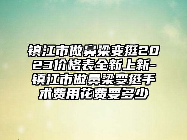 镇江市做鼻梁变挺2023价格表全新上新-镇江市做鼻梁变挺手术费用花费要多少