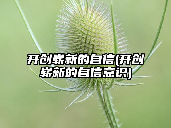 开创崭新的自信(开创崭新的自信意识)