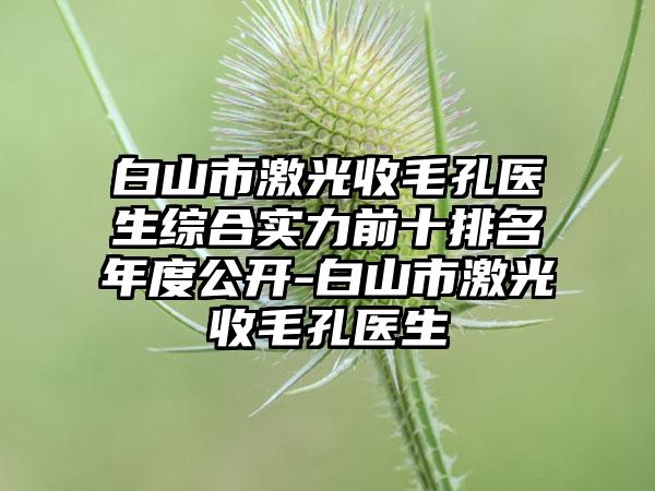 白山市激光收毛孔医生综合实力前十排名年度公开-白山市激光收毛孔医生