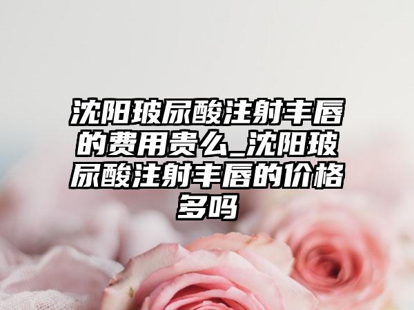 沈阳玻尿酸注射丰唇的费用贵么_沈阳玻尿酸注射丰唇的价格多吗