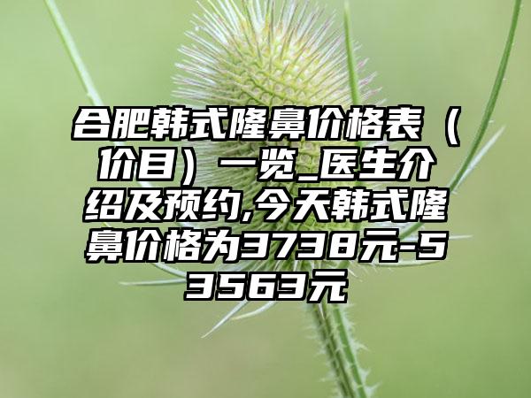 合肥韩式隆鼻价格表（价目）一览_医生介绍及预约,今天韩式隆鼻价格为3738元-53563元