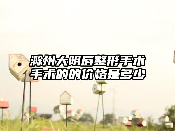 滁州大阴唇整形手术手术的的价格是多少