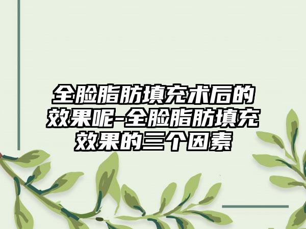 全脸脂肪填充术后的成果呢-全脸脂肪填充成果的三个因素