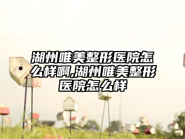 湖州唯美整形医院怎么样啊,湖州唯美整形医院怎么样