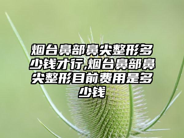 烟台鼻部鼻尖整形多少钱才行,烟台鼻部鼻尖整形目前费用是多少钱