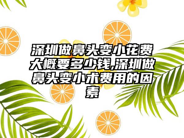 深圳做鼻头变小花费大概要多少钱,深圳做鼻头变小术费用的因素