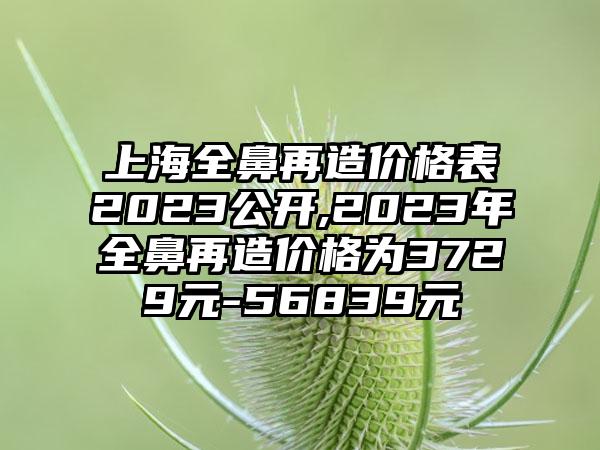 上海全鼻再造价格表2023公开,2023年全鼻再造价格为3729元-56839元