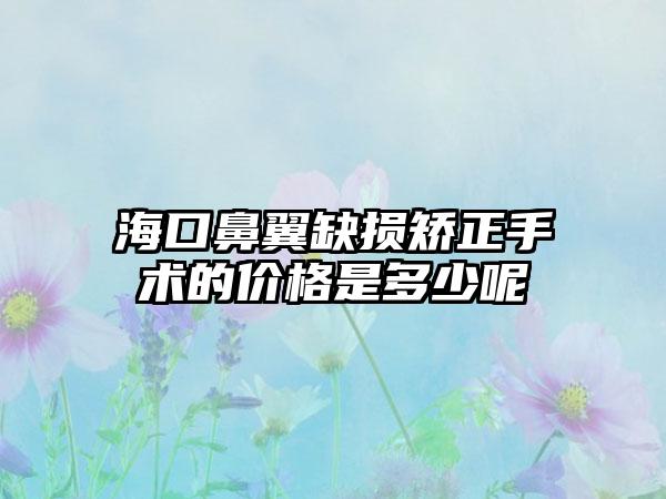 海口鼻翼缺损矫正手术的价格是多少呢